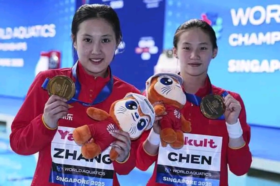 米台项目的 米台项目的