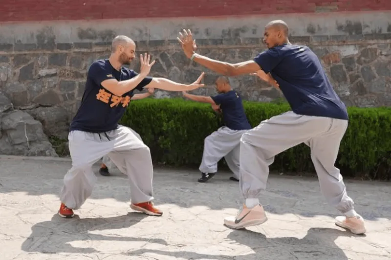 WyIAA, 林寺的中国 WyIAA, 林寺的中国